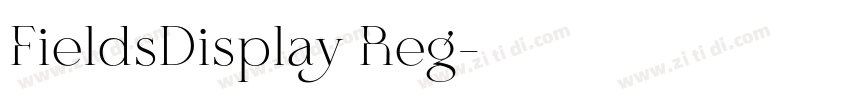FieldsDisplay Reg字体转换